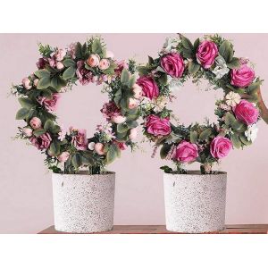 Tuteur rond pour plantes grimpantes - Lot de 2 - Neuf