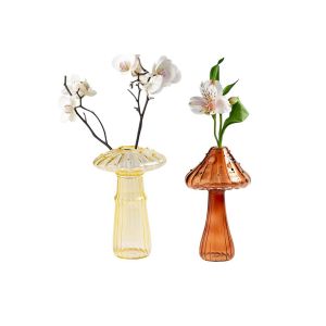 Vases hydroponiques en verre en forme de champignon - Lot de 2, 12 x 9 cm, pots en verre borosilicate de haute qualit&eacute; - Neuf