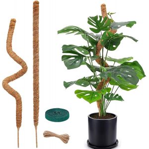 ASFASFq-Tuteur Plante Grimpante, 120cm Tuteur Plante Interieur, Tuteurs pour Plantes, Tuteur Monstera, Pliable, Aide à l'escalade des Plantes, Moss Pole pour Plantes Grimpantes Poussant vers Le Haut - Neuf