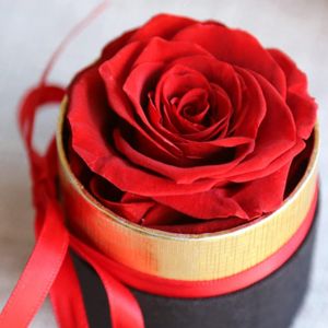 Mini Gift Box Eternal Rose,Handmade Stabilized Roses,Mother's Day Gifts,Everlasting Rose,Never Faded Flower,Red Girls Wedding Gifts,Birthday,Gift For Mom - Neuf