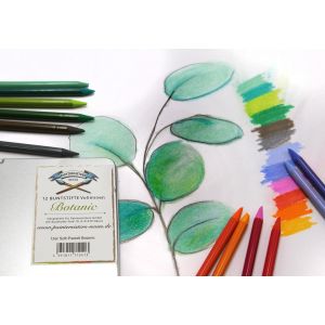 Lot De 12 Crayons Pastels Sans Bois | Ensemble De Crayons De Couleur Pour Artistes Dans Une Bo&icirc;te En M&eacute;tal | Crayons De Couleur &Agrave; L`Eau Pour Dessin, Peinture, Esquisse (Botanic) - Neuf