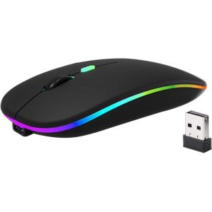 KALANKA-Souris sans Fil Rechargeable, Souris Bluetooth avec USB câble, Deux Modes(BT 5.2+2.4G sans Fil), Ultra-Mince/Silencieux(800-1200-1600), Wireless Mouse pour PC/Tablet/Laptop - Neuf