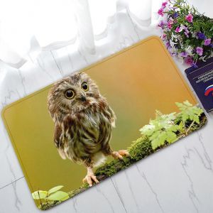 Gros Plan D'un Hibou &Agrave; Visage Blanc Paillasson Noir Et Gris Tapis Int&eacute;rieur / Ext&eacute;rieur / Salle De Bain 45x75 Cm - Neuf