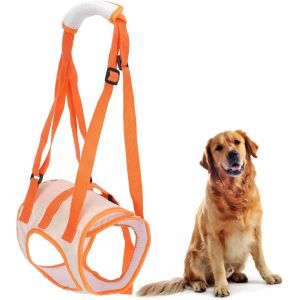 Chien De Levage Harnais Ajustable Respirant Chien À L'arrière De La Jambe D'appui Pour Les Animaux De Compagnie(Xl) - Neuf
