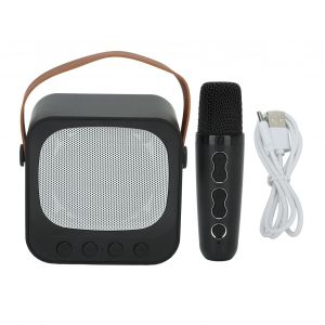 Mini Machine De Karaoke, Haut-Parleur Bluetooth Portable Avec Microphone Sans Fil, Reglage Des Basses Et Des Aigus, Noir - Neuf
