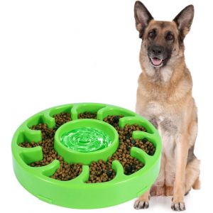 Chargeur Idéal Pour Les Chiens (Vert), Chargeur Lent Anti-Gluteo, Empêche L'enflure. - Neuf