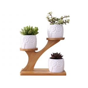 Pots &Agrave; Succulentes En C&eacute;ramique En Forme De Hibou Avec Support En Bambou - Lot De 3 - Neuf