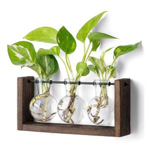 Support En Bois Pour La Multiplication Des Plantes, Terrarium Mural En Verre Pour Bulbes, Ideal Pour La Culture Hydroponique, La Decoration De La Maison Ou Du Bureau. - Neuf
