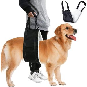 Harnais De Levage Réglable Pour Chiens Âgés Et Handicapés (M) - Neuf