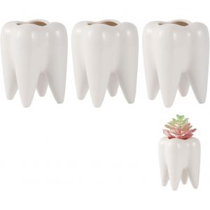 3 Pcs Pot De Succulentes C&eacute;ramique,Blanc Pot De Succulentes Pot De Cactus,Mini Pot De Fleurs Pot De Plantes Pour Cactus Pour Dentiste Cadeaux Table Salon D&eacute;co - Neuf