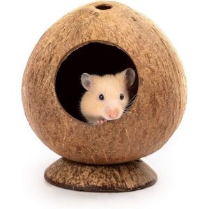 Cabane Tropicale En Noix De Coco Pour Petits Animaux- Refuge Douillet Pour Hamsters, Gerbilles, Souris Et Plus Encore - Décoration De Cage Écologique Et Charmante - Neuf