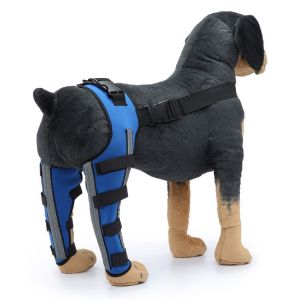 Genouillère Double Pour Chien, Protection Arrière Pour Ligament Croisé Antérieur, Luxation De La Rotule, Arthrite, Maintien Au Chaud De L'articulation, Soutien Supplémentaire, Bleu (S) - Neuf