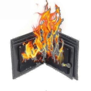 Portefeuille magique Portefeuille de feu Scène Accessoires magiques Jouets Jeux de société - Neuf