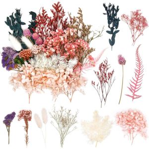 Fleurs S&eacute;ch&eacute;es,Fleurs Sechees Naturelles Vraies,Fleurs S&eacute;ch&eacute;es Vrac,Fleurs Press&eacute;es S&eacute;ch&eacute;es Decoration Pour Scrapbooking,Bricolage,Bougie,R&eacute;sine &Eacute;poxy,Floral Fabrication Artisanale - Neuf