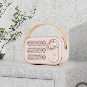 Enceinte Bluetooth vintage, d&eacute;coration r&eacute;tro, petite enceinte Bluetooth sans fil, accessoire de style r&eacute;tro mignon pour la cuisine, le bureau, la chambre, le bureau, les f&ecirc;tes, la maison, cadeau pou - Neuf
