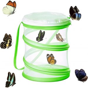 Chenquansarl-Cage À Papillons Pliable, Clôture À Insectes, Conception Portable, Capture D'insectes, Éducation Scientifique, Filet D'élevage Pour Papillons/Lucioles/Plantes - Neuf