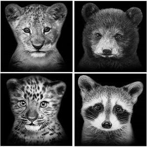 Oayew-Diamond Painting Animaux Enfant Lot De 4 30x30 Cm Diamant Peinture Tigre En Noir Et Blanc Diamond Painting Tigre Lion Leopard Lion Diamond Painting Puzzle Diamant Ours Painting Raton Laveur - Neuf