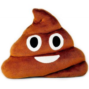 Coussin émoticône coloré, émoticône caca souriante, coussin rond, peluche caca, jouet cadeau doux et décoratif - Neuf