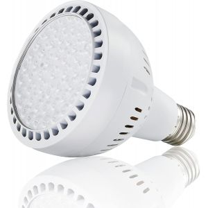 Ampoule Piscine LED 120V 50W 5000LM 6500K Blanc Jour, Remplace jusqu a 200-800W Ampoule Traditionnelle pour la Plupart des Luminaires Pentair Hayward - Neuf