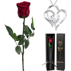 Rose Eternelle avec Collier Cadeau Femme Noel,Vraie Rose avec Tige Cadeau Maman Noel, Fleur Pr&eacute;serv&eacute;e en Coffret Cadeau Anniversaire Femme Fleur Eternelle Noel Cadeau Saint-Valentin Femme - Neuf