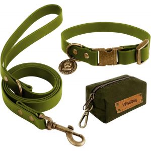 Ensemble Collier Et Laisse Imperm&eacute;able Pour Chien : Collier R&eacute;glable, Laisse Classique Avec Porte-Sac &Agrave; Crottes, Pour Chiens De Taille Moyenne Et Grande (Xs, Vert) - Neuf