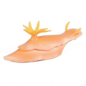 Mod&egrave;les De Poissons Simul&eacute;s Mod&egrave;les De Poissons-Bars R&eacute;alistes Pour La D&eacute;coration Int&eacute;rieure Et &Agrave; Des Fins &Eacute;ducatives-06 - Neuf