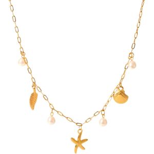 Kal-Collier De Coquillages, Collier De Coquillages Naturels, Superpos&eacute;es Colliers Pendentif &Eacute;toile De Mer Coquillage, Pour Femmes Filles Bijoux De Plage &Eacute;t&eacute; Plage Bijoux Colliers Cadeaux - Neuf