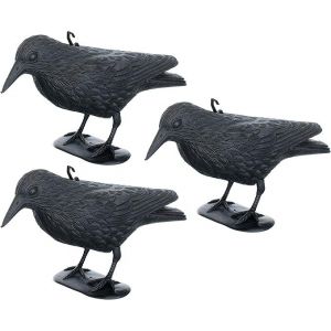 Répulsif Pigeon - Corbeau - Répulsif Contre Les Petits Oiseaux Et Les Pigeons - Portée Environ 36 Cm. - Neuf