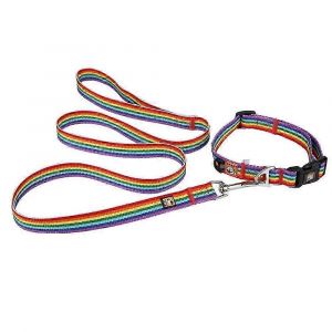 Collier De Chien Drapeau Arc-En-Ciel,Sangle En Nylon Élégante Résistante À L'usure Pour La Mode De La Fierté Des Animaux De Compagnie,Laisse Solide Et Durable Avec Libération Latérale En Plastique Sup - Neuf