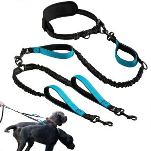 Double Plomb Pour 2 Chiens, 6 Pieds, Noir, Nylon, R&eacute;fl&eacute;chissant, Coutures, Le Ventre De La Sangle - Neuf