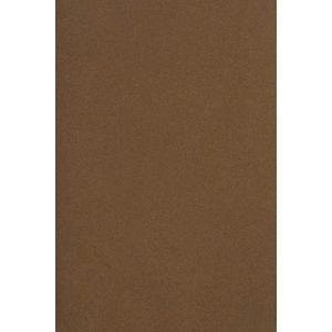 10x Carton Marron 250g Papier Décoratif A5 148,5x210mm Burano Tabbacco Idéal Pour Cartes De Voeux Scrapbooking Bricolage Invitations Art Et Artisanat Anniversaire Diy Loisirs Créatifs - Neuf