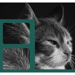 Cgr-731 Cgr731 Compatible Cartouche De Toner Avec Puce Pour Canon I-Sensys Lbp7100Cn Lbp7110Cw Mf623Cn Mf628Cw Mf8230Cn Mf8280Cw (Bk:2400 Pages) - Neuf