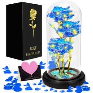 Rose &eacute;ternelle D&ocirc;me en verre Socle en bois LED &eacute;ternelle Cadeau pour Maman, femme, No&euml;l, mariage, anniversaire, f&ecirc;te des m&egrave;res - Neuf