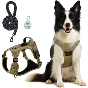Jgd-Harnais Chien, Harnais Anti Traction Pour Chien Avec Poign&eacute;e Contr&ocirc;l Facile &Agrave; Mettre Souple Respirant R&eacute;fl&eacute;chissant R&eacute;glable Harnet Pour Chi En Har Nais Pour Chi En Moyen Grand (M, Kaki) - Neuf