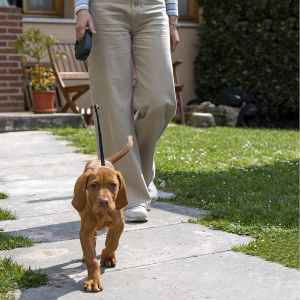 Laisse Chien Enrouleur Flippy One, Laisse Pour Chiens De Taille Moyenne Jusqu'&agrave; 20 Kg. Cordon Extensible Max 5 M. Bouton De Verrouillage Et De D&eacute;verrouillage Unique, Noir - Neuf