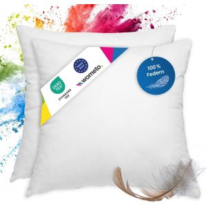 Lot De 2 Coussins En Plumes 100% Plumes-40 X 40 À 300 G-Oekotex-Housse Coton-Blanc-Coussin Intérieur,Rembourrage De Coussin Et Petits Oreillers - Neuf