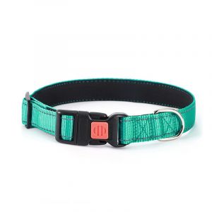 Collier Réglable Et Imperméable Pour Chien, Couleur Vert Menthe - Neuf