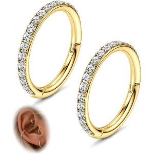 Cartilage Helix Hoop Earrings Conch Piercing Jewellery 18g 16g 316l Surgical Steel Rings Segment Hinges Septum Ring Nose Daith Rook Tragus Hoop Helix Piercing 6/8/10mm - Neuf