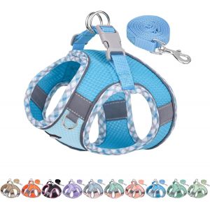 Jgd-Aiitle Harnais Pour Chien Aiitle Anti-&Eacute;tranglement, Harnais R&eacute;glable Pour Chien Avec Laisse, Boucle &Agrave; D&eacute;gagement Rapide - Entra&icirc;nement En Ext&eacute;rieur Pour Chiens De Taille Moyenne Bleu L - Neuf