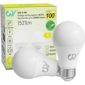 Ampoule Led E27 9.5w (Équivalent 100w),6500k Blanc Froid 1521 Lumens,A60 Ampoules E27 Led Efficacité Energétique,Dépolie,Non-Dimmable,2 Unité (Lot De 1) - Neuf