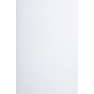 20x Carton Blanc 400g A4 210x297mm Arena Smooth White Carton Blanc De Haute Qualité Papier Cartonné Épais Blanc Pour Bricolage Cartes De Visite Brochures Diplômes Scrapbooking Albums Photos - Neuf