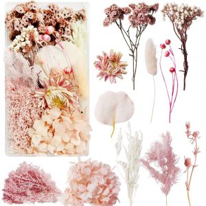 Fleurs S&eacute;ch&eacute;es Fleur Sechees Decoration Fleurs Sechees Naturelles Fleurs Sechees Vraies Fleurs Press&eacute;es S&eacute;ch&eacute;es et de Feuilles S&eacute;ch&eacute;es Naturelles pour la D&eacute;coration de Bricolage (Rose) - Neuf