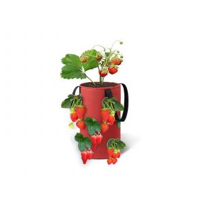 Sac de culture pour fraises de 11 litres (3 gallons) avec 12 trous pour l&eacute;gumes - Rouge - Neuf