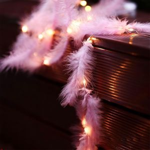 TRAHOO-Guirlande lumineuse 2m, 20 plumes avec 20 micro LED, Guirlande lumineuse en cuivre blanc chaud aliment&eacute;e par piles pour f&ecirc;te, jardin, No&euml;l, Halloween, mariage (Rose) - Neuf