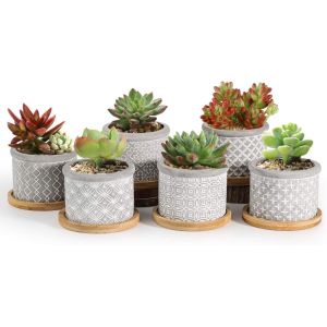 Nouvelhorizonstore-6cm Pot De Fleur, Succulent Pots De Plantes Avec Plateau Bambou Lot De 6, Mini Moderne Concrete Cactus Jardini&egrave;res De Fleurs, D&eacute;coration De Maison Jardin Bureau Cadeau - Neuf