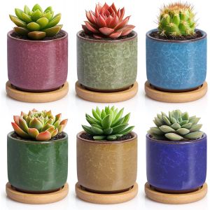 NouvelHorizonstore-Pot de Fleur en c&eacute;ramique Sable Violet 6 cm avec Plateau en Bambou-Paquet de 6, Pots de Fleurs en c&eacute;ramique pour cultiver des Fleurs de Cactus succulentes - Neuf