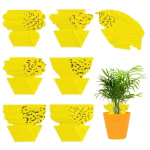 Pièges à Insectes, Anti Moucherons Interieur Attrape Moucheron Plantes Autocollants Colle Double-Face Étanche Jaunes Pièges Engluées pour Cuisine Jardin (70) - Neuf