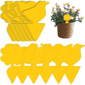 Attrape Moucheron Interieur Cuisine 60 Pi&iquest;&iquest;ces Attrape Moucheron Jaunes Anti Moucherons Plantes Interieur Englu&iquest;&iquest;es Autocollants Colle Double-Face ?tanche, Protection des Plantes Fleur Fruits - Neuf