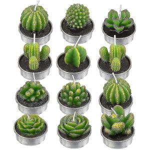 12 bougies de cactus, bougies succulentes de plantes artificielles, Saint-Valentin - Neuf