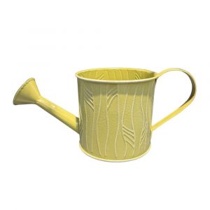 ARROSOIR M&Eacute;TAL D&Eacute;CO POIGN&Eacute;E 11X10.5CM VERT - Neuf